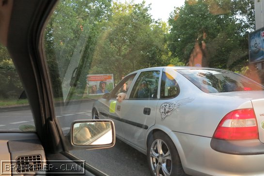 Berlin Tag 2 184.JPG